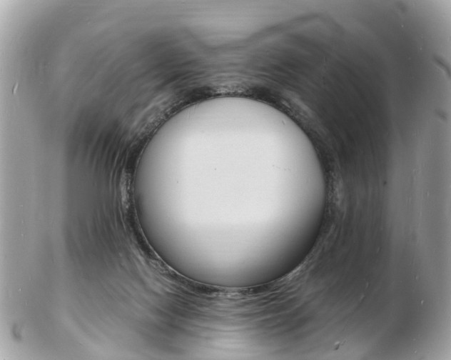 X0000103290074200808291117