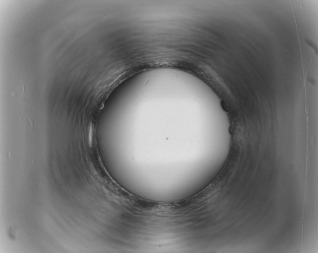 X0000103290076200808291117