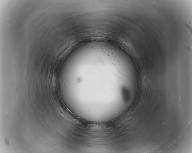 X0000103290077200808291117