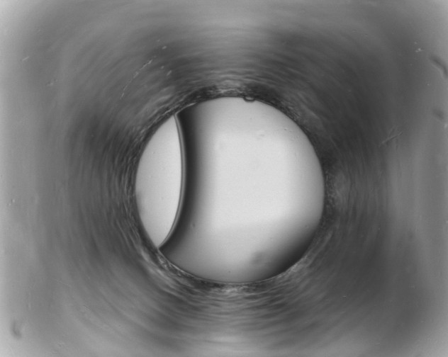 X0000103290082200808291117