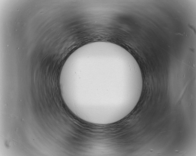 X0000103290084200808291117