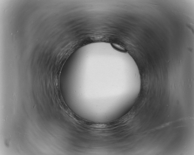 X0000103290085200808291117