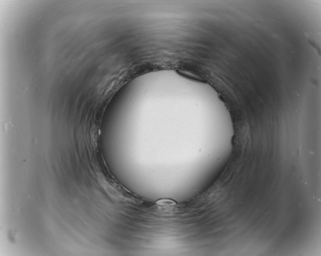X0000103290088200808291117