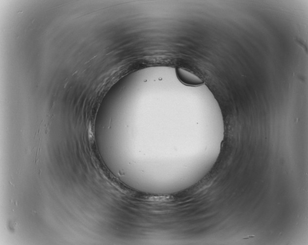 X0000103290089200808291117