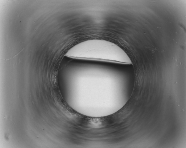 X0000103290091200808291117