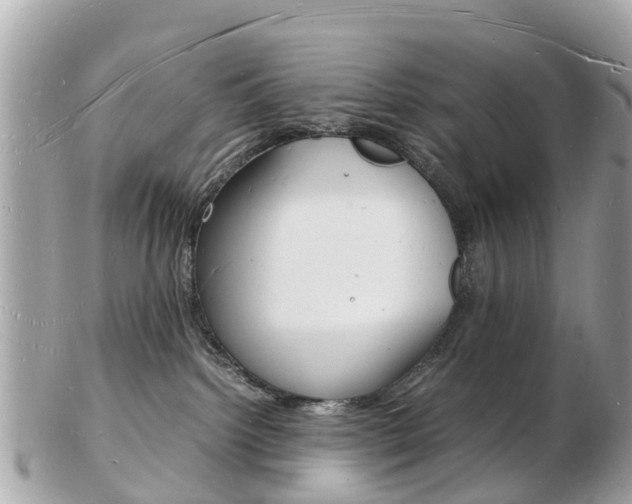 X0000103290092200808291117