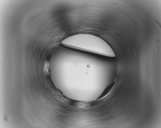 X0000103290094200808291117