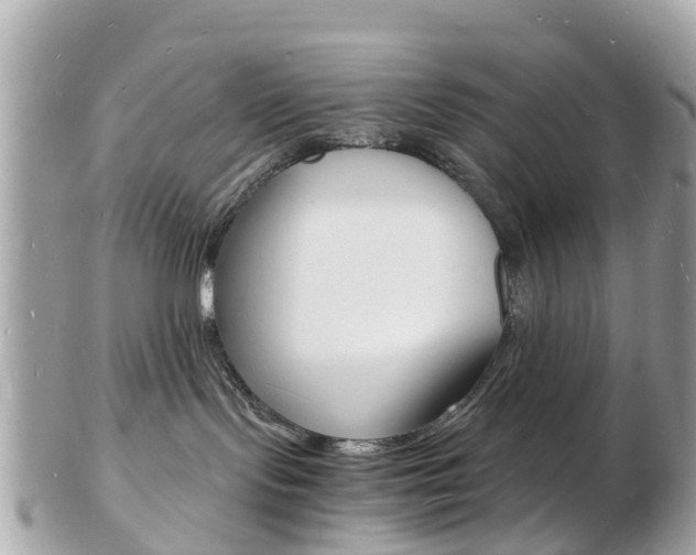 X0000103290095200808291118