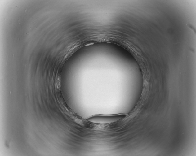 X0000103290096200808291118