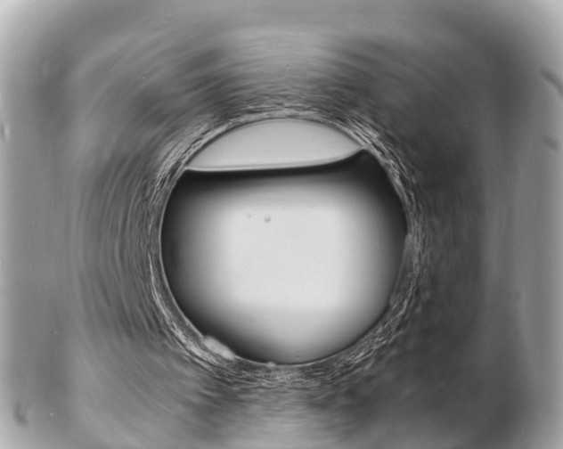 X0000103290097200808291117