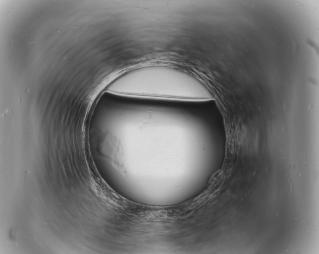 X0000103290100200808291117