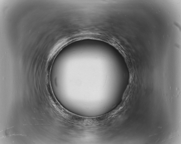 X0000103290101200808291117