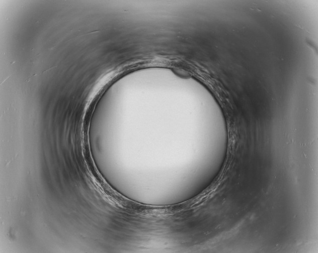 X0000103290102200808291117