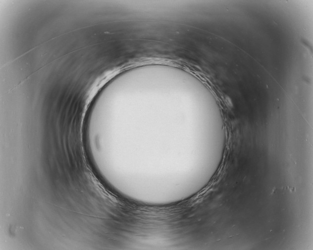 X0000103290104200808291117