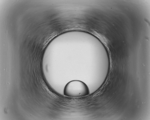 X0000103290105200808291117