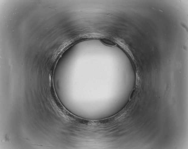 X0000103290109200808291117