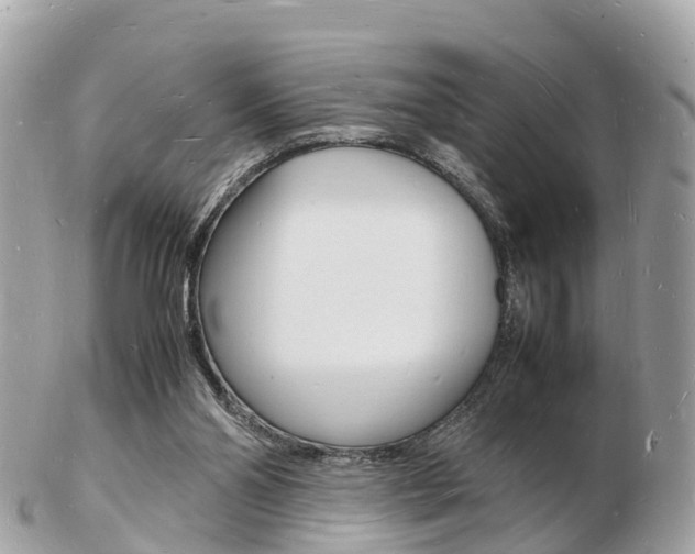 X0000103290110200808291117