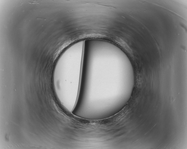 X0000103290111200808291117