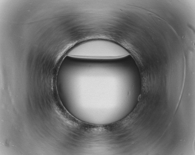X0000103290112200808291117