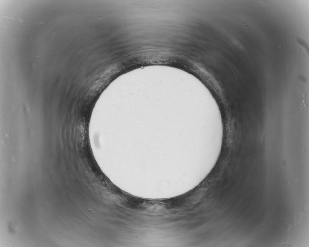 X0000103290113200808291117