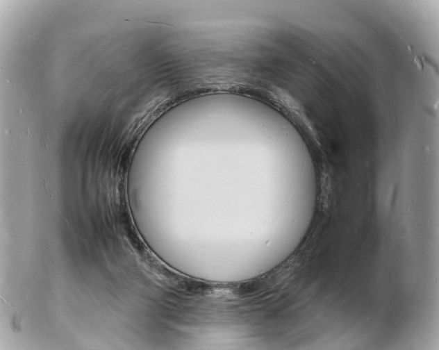 X0000103290114200808291117