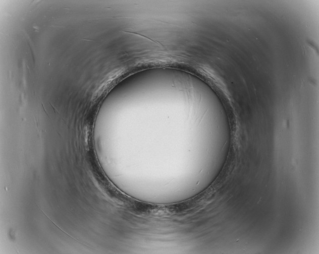 X0000103290115200808291117