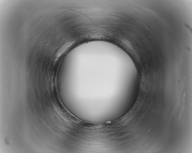 X0000103290116200808291117