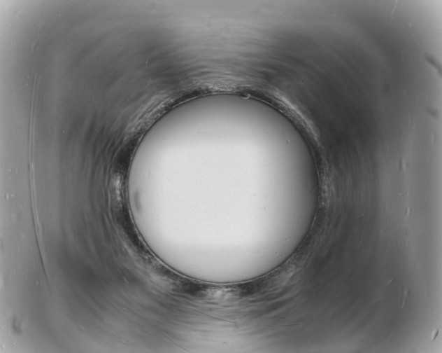 X0000103290117200808291117