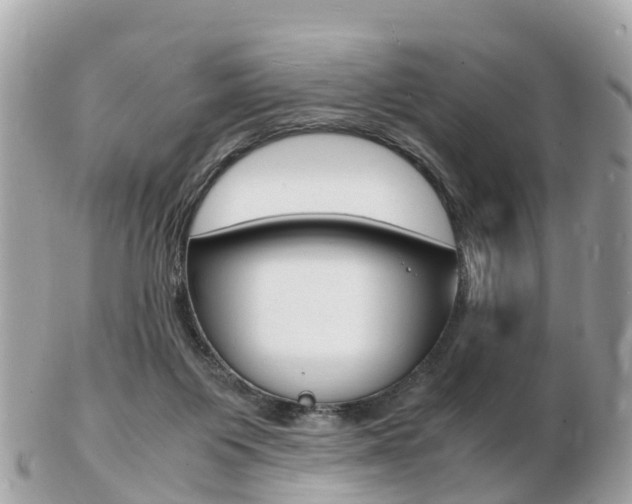 X0000103290119200808291117
