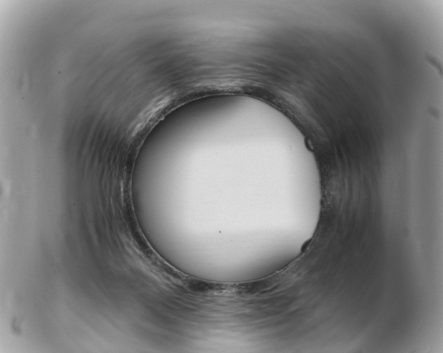 X0000103290120200808291117