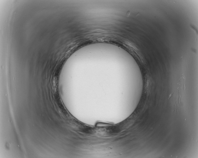 X0000103290121200808291117
