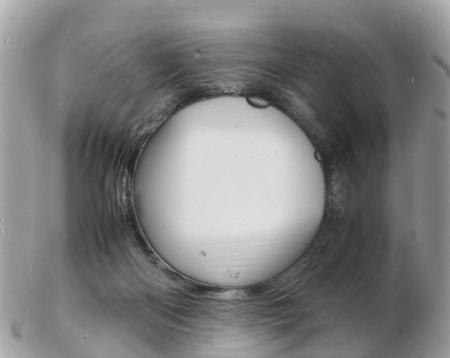 X0000103290122200808291117