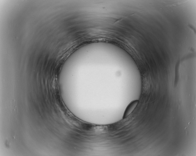 X0000103290126200808291116