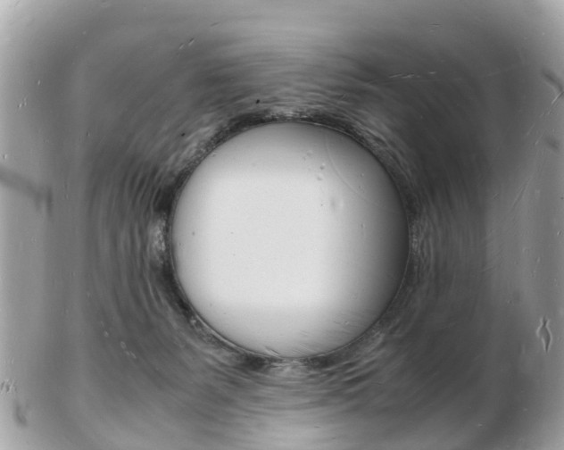 X0000103290127200808291116