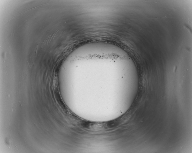 X0000103290129200808291116