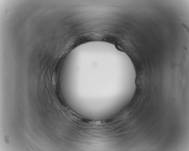 X0000103290131200808291116
