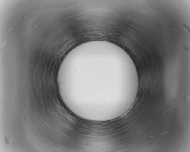 X0000103290132200808291116
