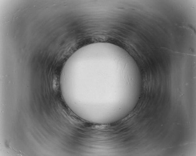 X0000103290134200808291116