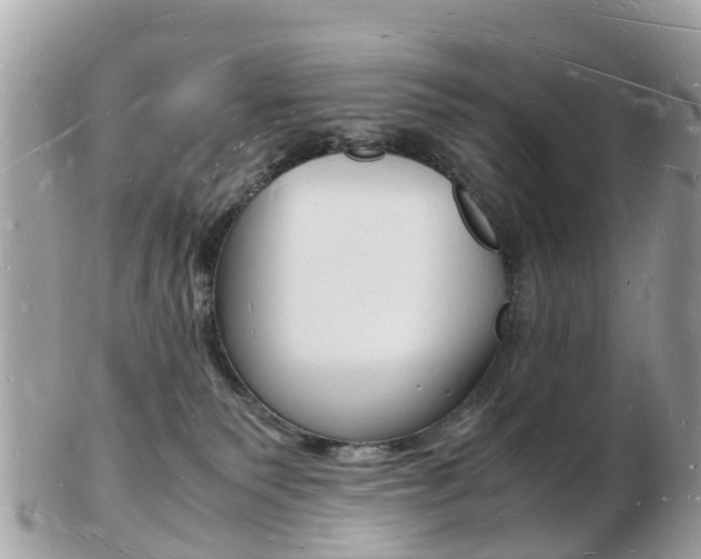 X0000103290135200808291116