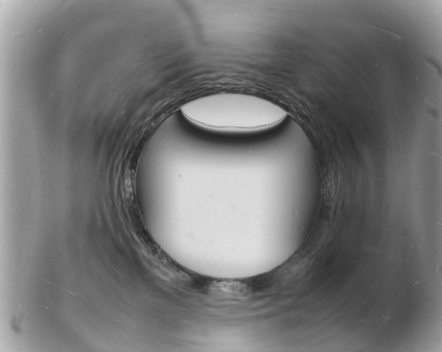 X0000103290137200808291116