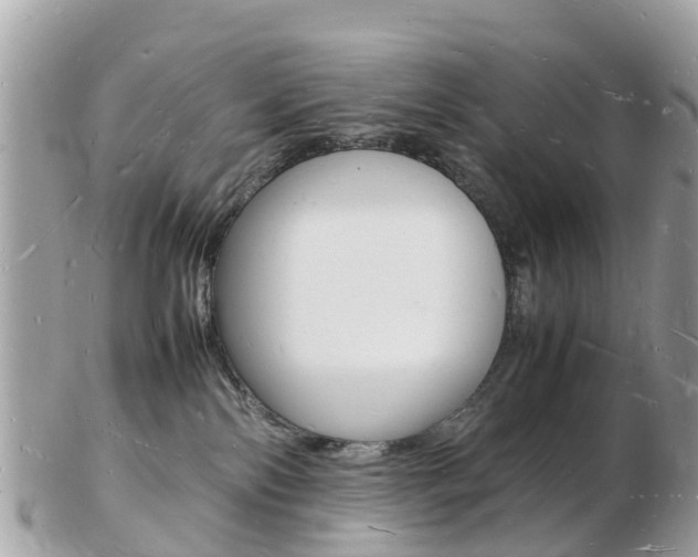 X0000103290138200808291116