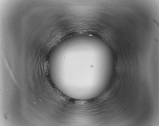 X0000103290139200808291116