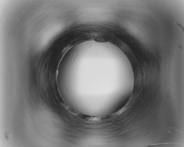 X0000103290140200808291116