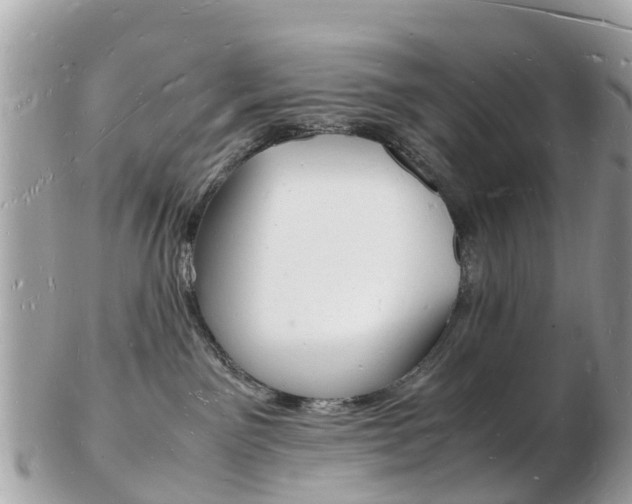 X0000103290141200808291116