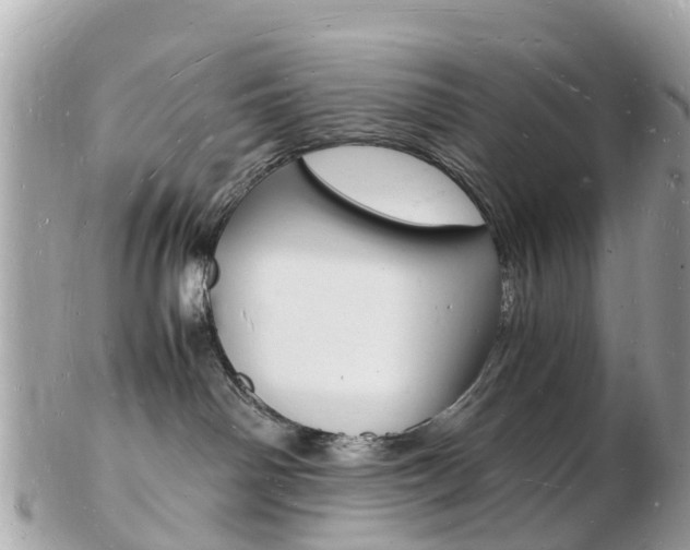 X0000103290142200808291116