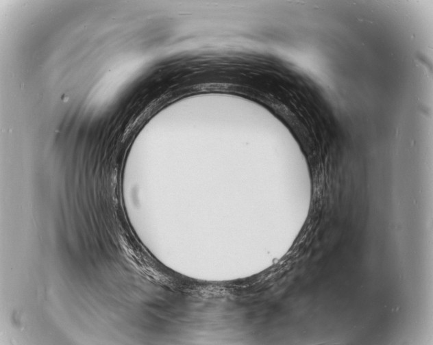 X0000103290146200808291116