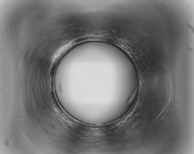 X0000103290149200808291116