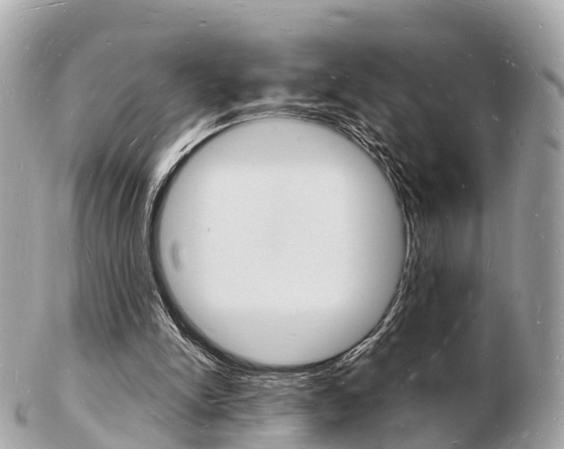 X0000103290150200808291116