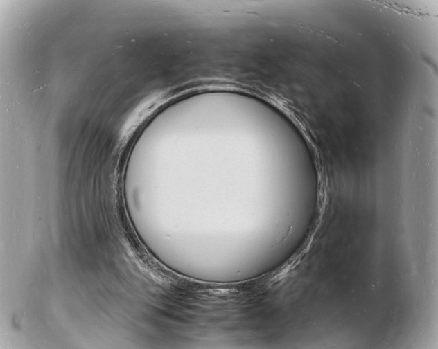X0000103290151200808291116