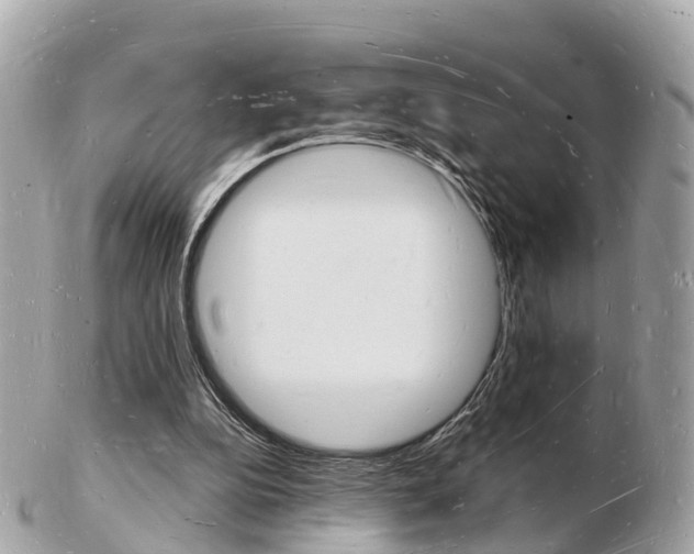 X0000103290152200808291116
